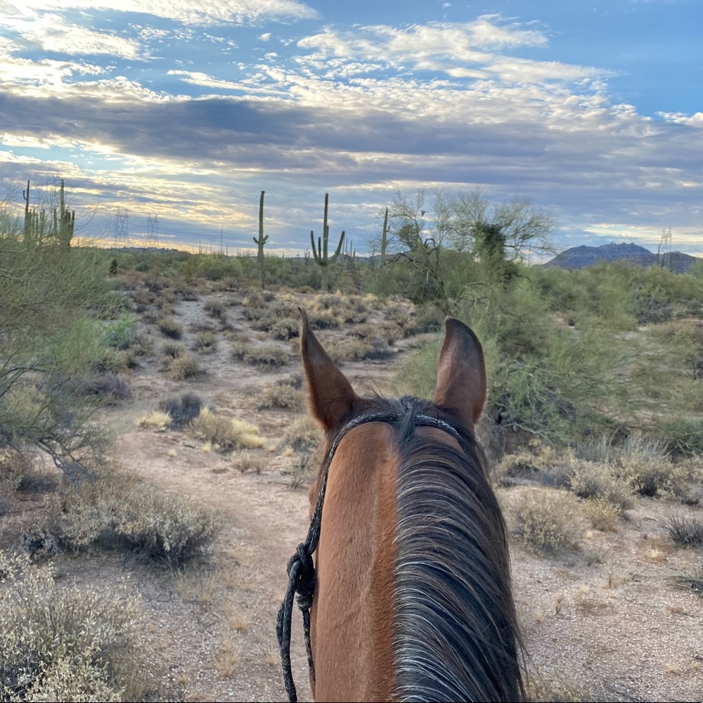 Meet your Posher, Samantha